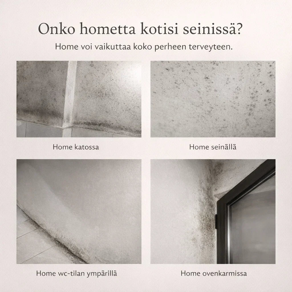 – poistaa homeen ilman hankausta