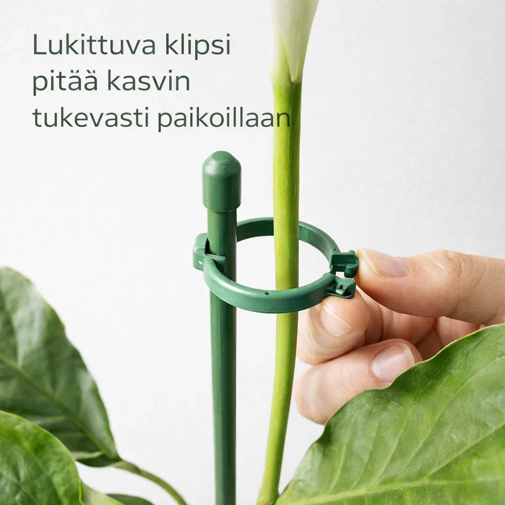 KasviTuki – Tukea vahvemmille ja suoremmille kasveille