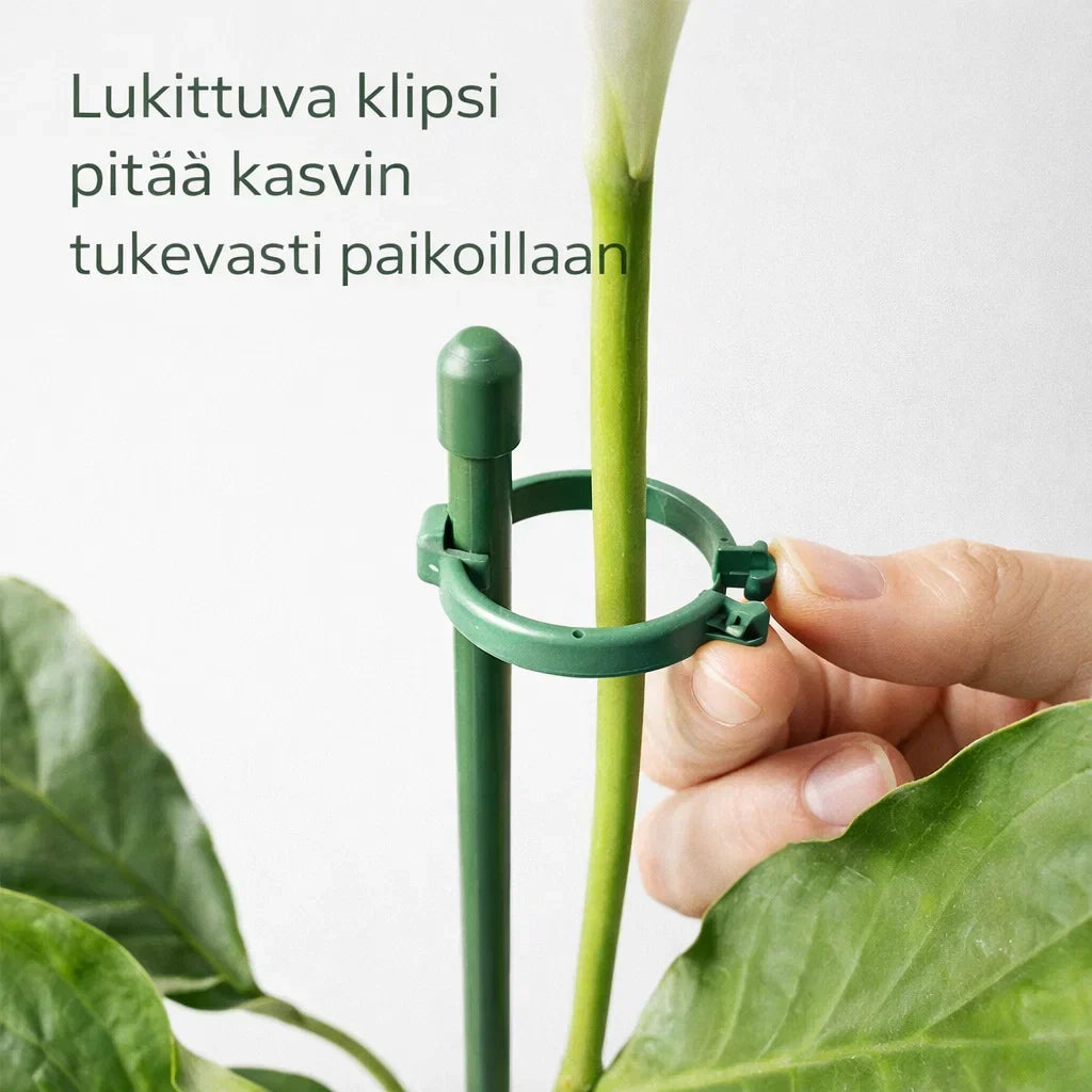 KasviTuki – Tukea vahvemmille ja suoremmille kasveille
