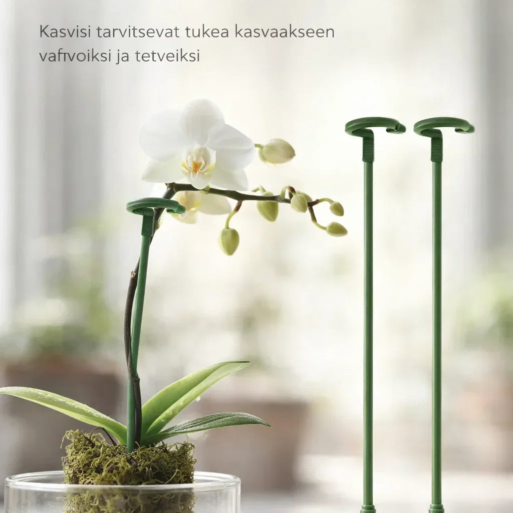 KasviTuki – Tukea vahvemmille ja suoremmille kasveille