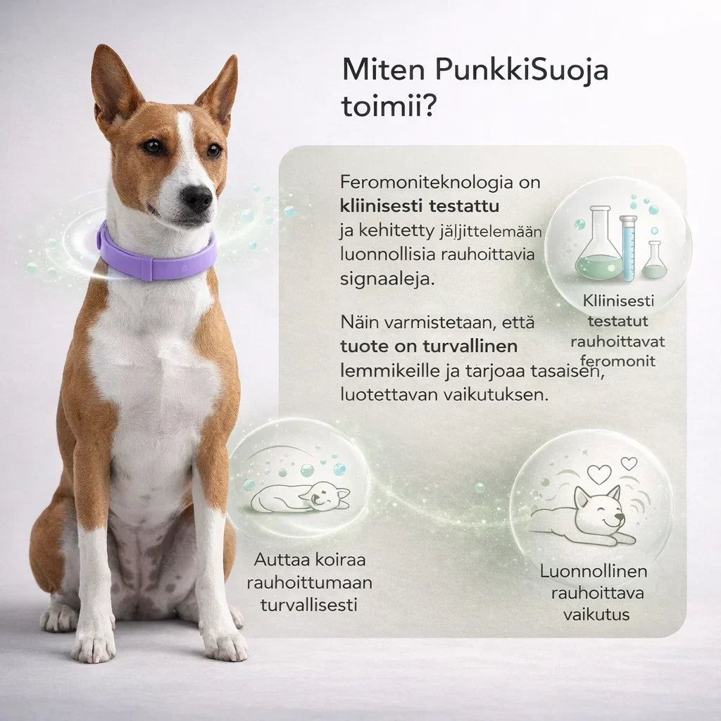 PunkkiSuoja – Luotettava suoja punkkeja vastaan