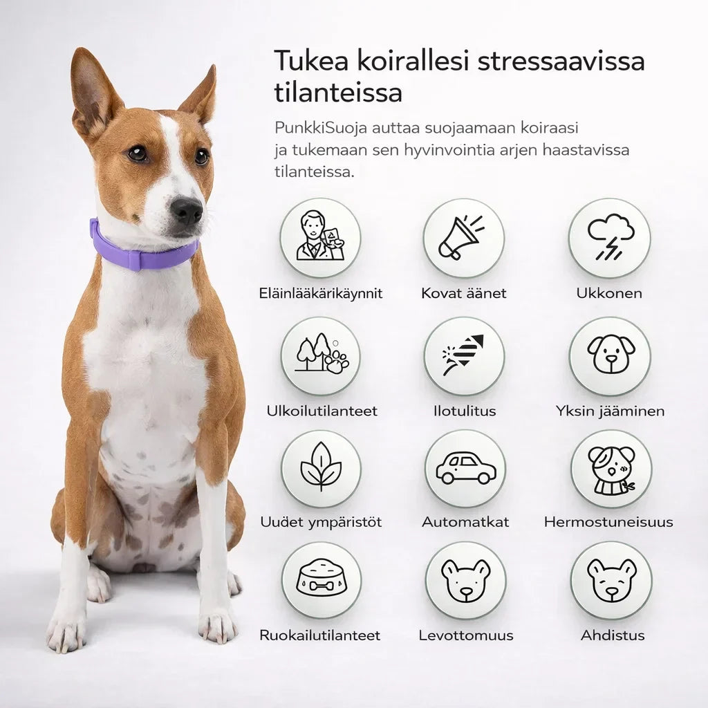 PunkkiSuoja – Luotettava suoja punkkeja vastaan