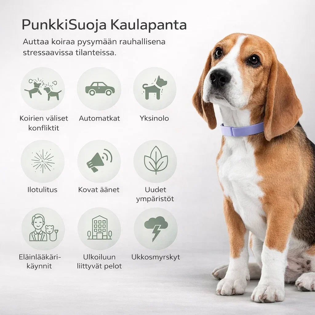 PunkkiSuoja – Luotettava suoja punkkeja vastaan