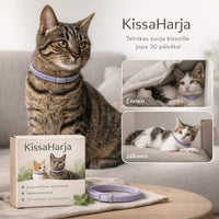 KissaHarja – Tehokas harja irtokarvojen poistoon