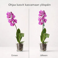KasviTuki – Tukea vahvemmille ja suoremmille kasveille