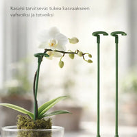 KasviTuki – Tukea vahvemmille ja suoremmille kasveille
