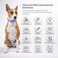 PunkkiSuoja – Luotettava suoja punkkeja vastaan